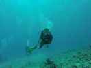 Hawaii Scuba divng 54