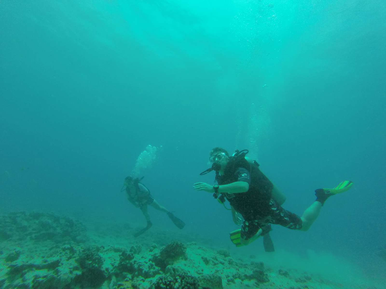 Hawaii Scuba Diving - 08-22-2016