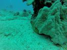Hawaii Scuba divng 63