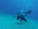 Hawaii Scuba divng 09