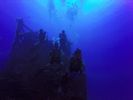 Hawaii Scuba divng 17