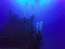 Hawaii Scuba divng 18