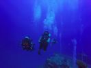 Hawaii Scuba divng 25