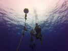 Hawaii Scuba divng 02