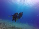 Hawaii Scuba divng 34