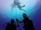 Hawaii Scuba divng 03