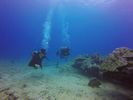 Hawaii Scuba divng 43