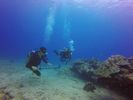 Hawaii Scuba divng 44