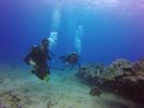 Hawaii Scuba divng 45