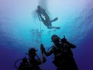 Hawaii Scuba divng 04