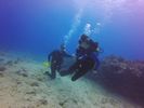 Hawaii Scuba divng 51