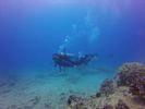 Hawaii Scuba divng 53