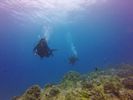 Hawaii Scuba divng 56