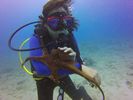 Hawaii Scuba divng 57