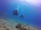 Hawaii Scuba divng 61