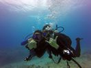 Hawaii Scuba divng 64