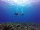 Hawaii Scuba divng 65