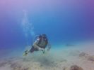 Hawaii Scuba divng 10