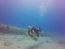 Hawaii Scuba divng 11