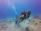 Hawaii Scuba divng 13