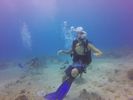 Hawaii Scuba divng 14