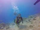 Hawaii Scuba divng 16