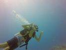 Hawaii Scuba divng 18