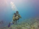 Hawaii Scuba divng 19