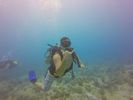 Hawaii Scuba divng 20