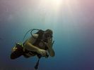 Hawaii Scuba divng 21