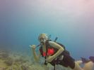 Hawaii Scuba divng 24