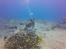 Hawaii Scuba divng 27