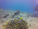 Hawaii Scuba divng 29