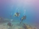 Hawaii Scuba divng 31