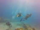 Hawaii Scuba divng 32