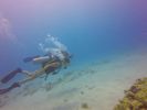 Hawaii Scuba divng 33