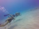 Hawaii Scuba divng 35