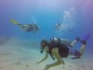 Hawaii Scuba divng 03