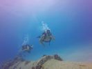 Hawaii Scuba divng 40