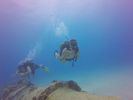 Hawaii Scuba divng 41