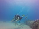 Hawaii Scuba divng 42