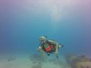 Hawaii Scuba divng 44