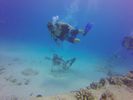 Hawaii Scuba divng 47