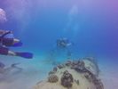 Hawaii Scuba divng 48