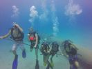 Hawaii Scuba divng 53