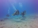 Hawaii Scuba divng 56