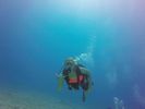 Hawaii Scuba divng 59