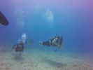 Hawaii Scuba divng 60