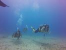 Hawaii Scuba divng 61