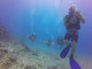 Hawaii Scuba divng 66